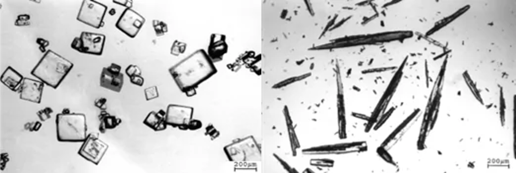 工业结晶 - Industrial Crystallization | EKATO-CHINA